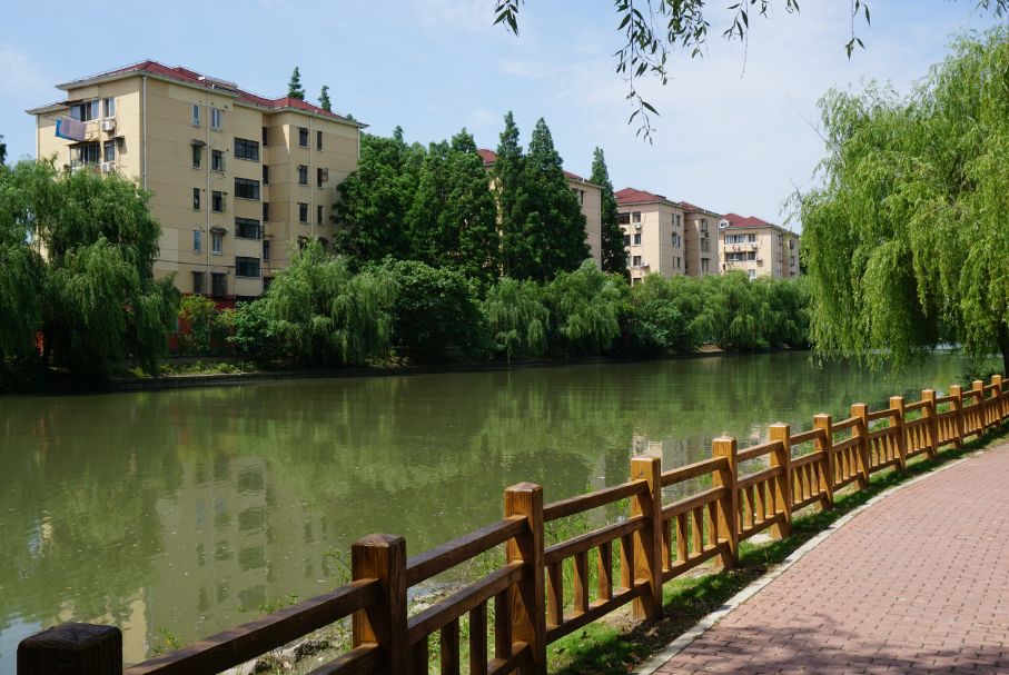 “两眼么擦黑”！还有比夜间春申塘绿地更适合拍鬼片的地方吗？