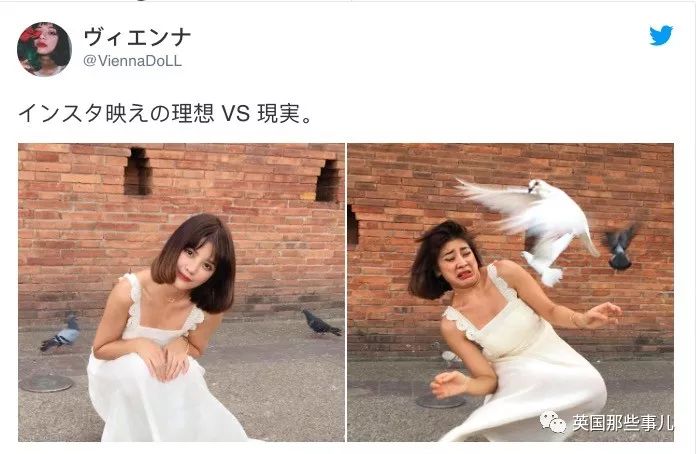 FUN||不开心？不如看沙雕网友的倒霉日常开心一下吧哈哈哈哈哈哈