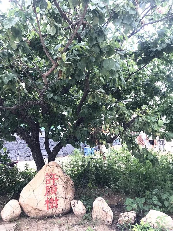 藏在海港区的打卡圣地，开导航都不一定找得到！