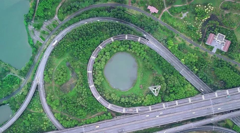 天呐!武汉这个区开挂了!反正我是羡慕了!