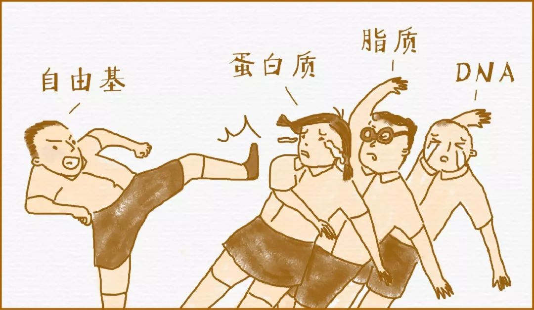 口碑最好的抗氧化产品,抗氧化有意义么