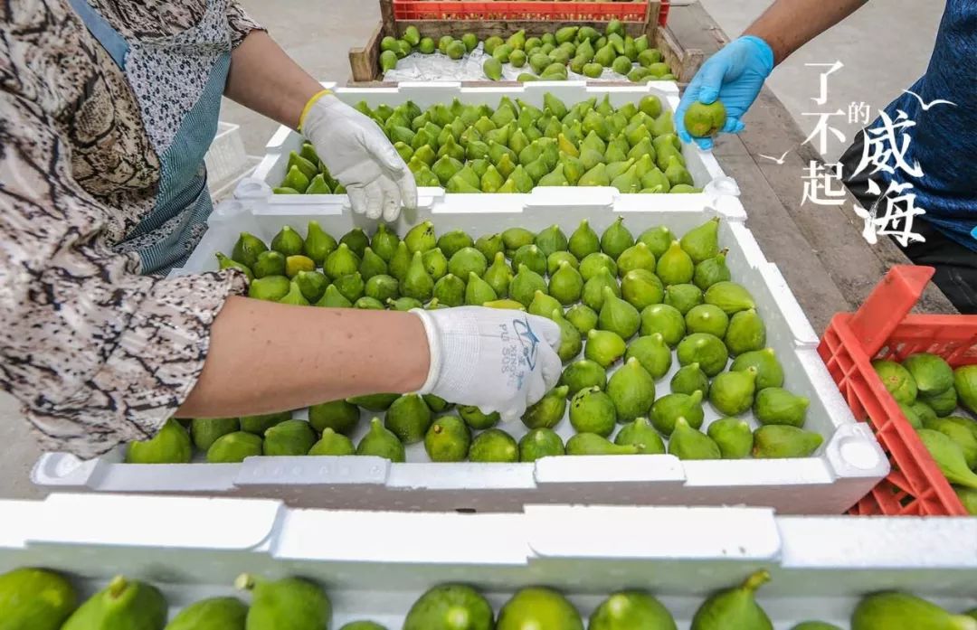 浜嗕笉璧风殑濞佹捣,浜嗕笉璧风殑濞佹捣浠婃棩澶存潯