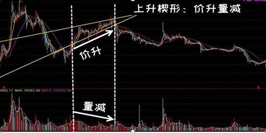 一个猴子的故事大全,一个猴子真实故事