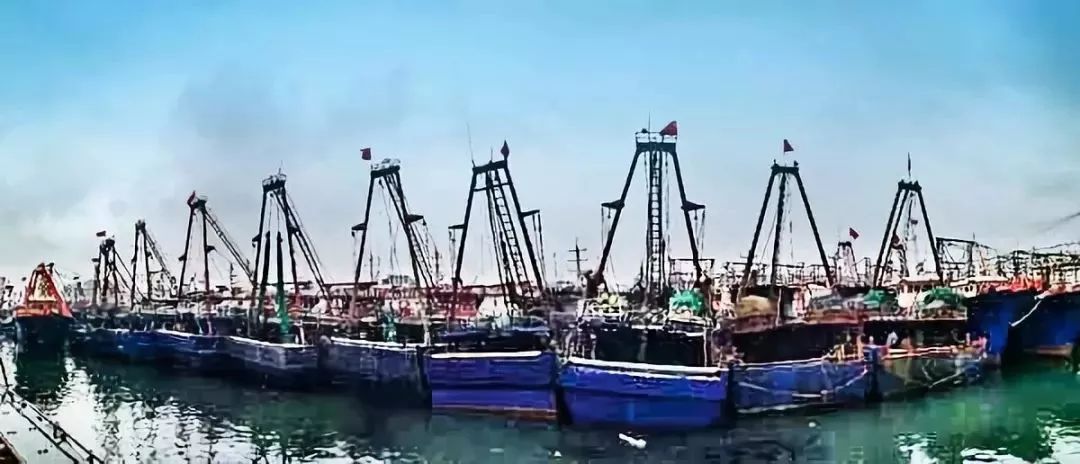 玉林侬,冲鸭!北海8月16日开海,教你在哪里买海鲜最新鲜,最实惠~