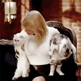 乐坛大佬组团关门“搞副业”，小清新入职报道狂减40斤？