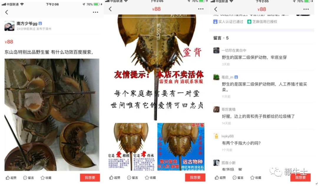 非法倒卖保护动物,非法买卖动物产品