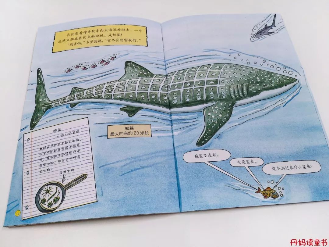 全球销量第一的书,全球十大销量书