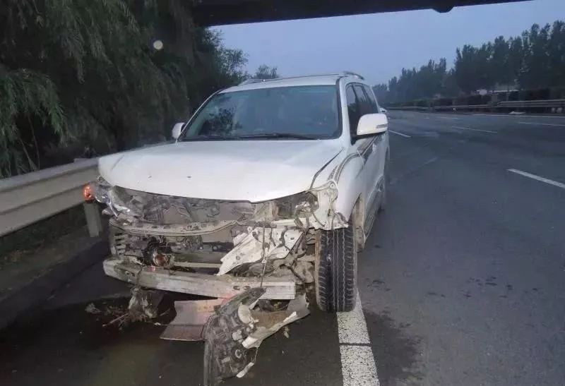 今日new衡水丨衡水1女子4只手指被绞断！高速上，一头乱窜的猪闯祸了···