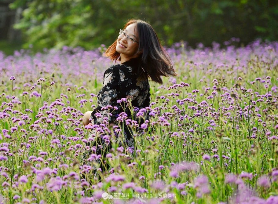 云岭深山自然美景,云岭野山参风景旅游区