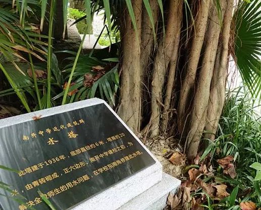 沙坪坝有意思的建筑,探寻重庆老建筑