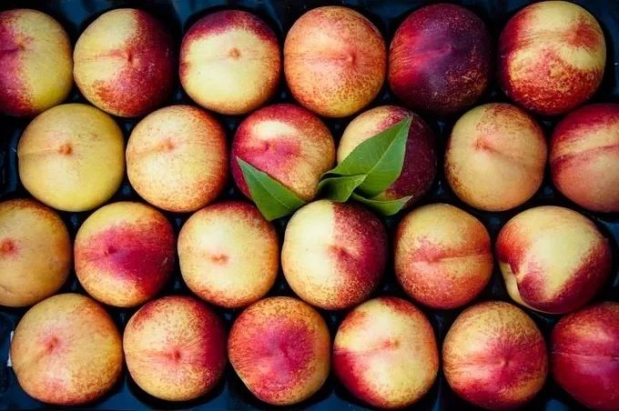 吃桃子拉肚子是怎么回事,夏天吃桃子拉肚子好几天