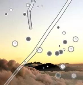 眼睛会发光的小虫,眼睛里有小虫子爬的感觉是咋回事