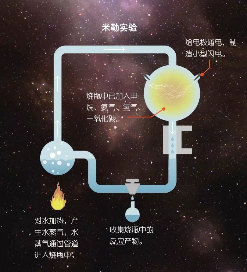 生命在地球上如何诞生？