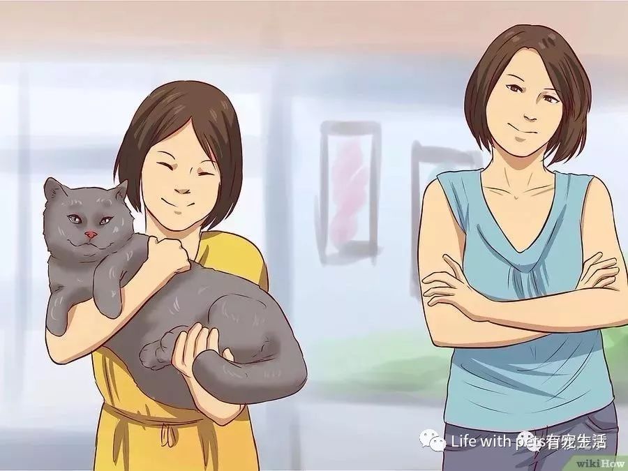 如何捕捉泥鳅,如何捕捉苍蝇