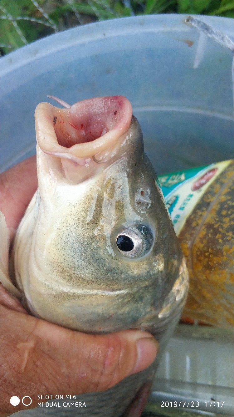 钓鱼享百味人生,钓鱼享乐趣