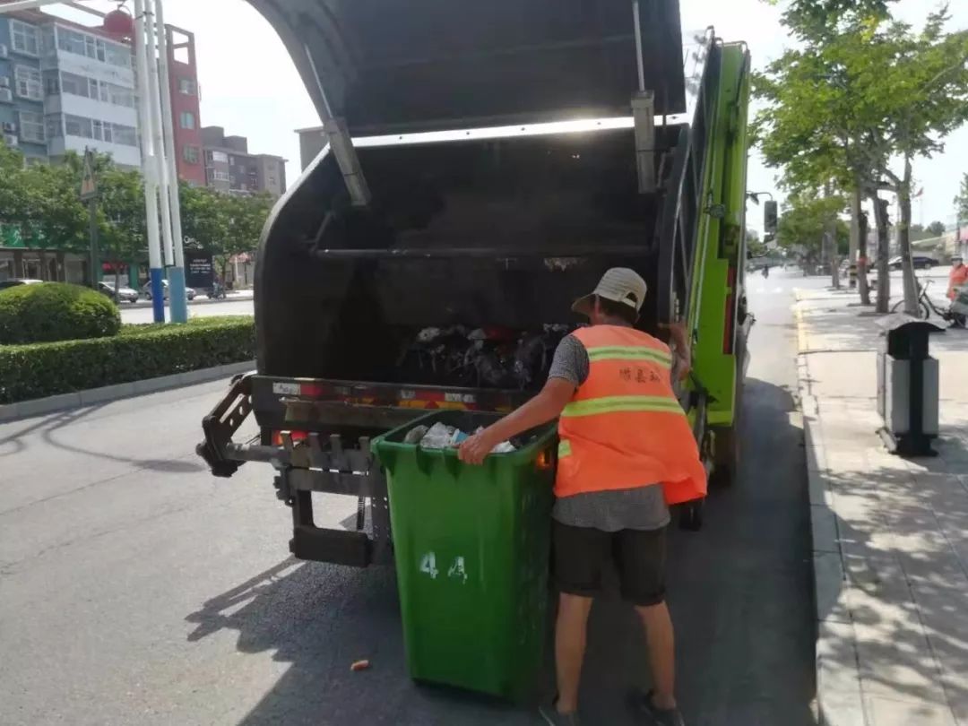 高温下，磁县娇艳的“城市黄玫瑰”