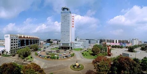 广西玉林世界500强企业,广西玉林龙头企业排名