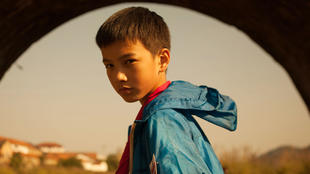 光头拯救世界,光头强逆转时光票房