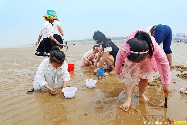 在礐石居然有这么一个世外桃源,日照有哪些海滩可以免费赶海