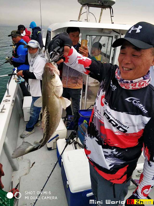 在礐石居然有这么一个世外桃源,日照有哪些海滩可以免费赶海