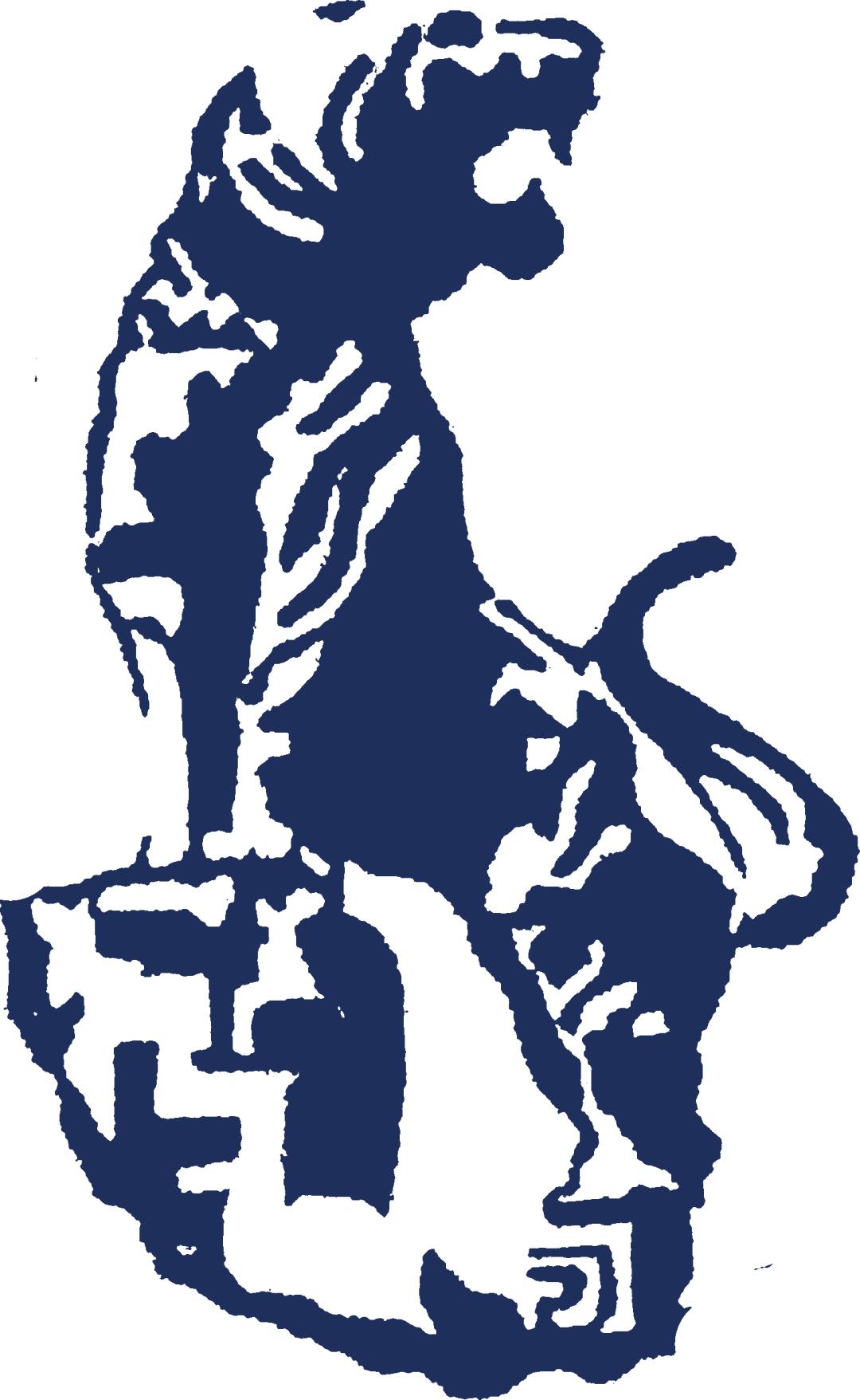 哈工程青岛体育馆,多图来袭