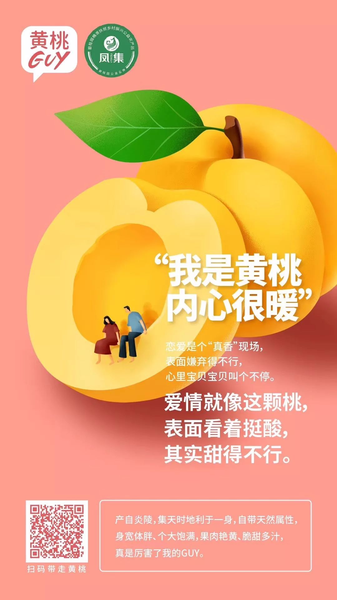 这条高铁开通在即,长沙南到湛江西高铁途经站点