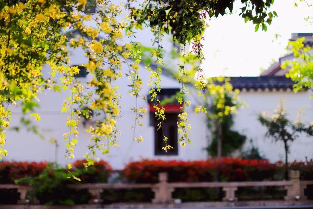 书法创作最雅致的200首对联,古今经典最著名的十副对联