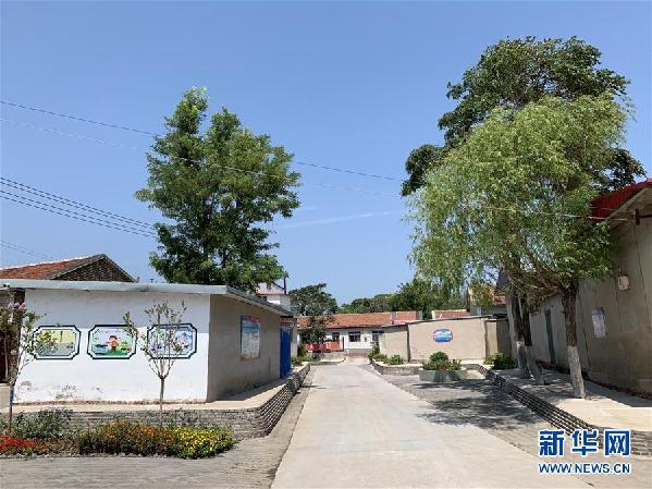 关注｜建设一片“绿谷”留下一座“宝库”——天津构筑“双城”绿色生态屏障