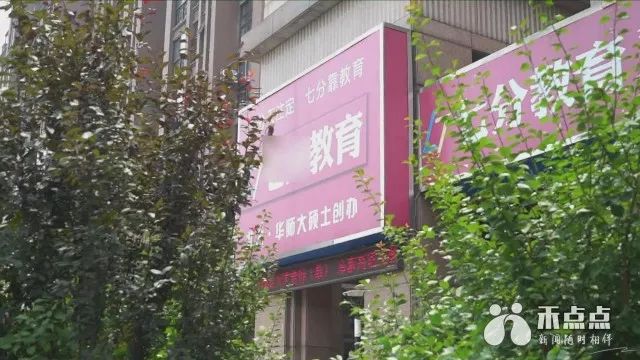 暑假教育培训现状,暑期培训班火爆热闹背后暗藏乱象