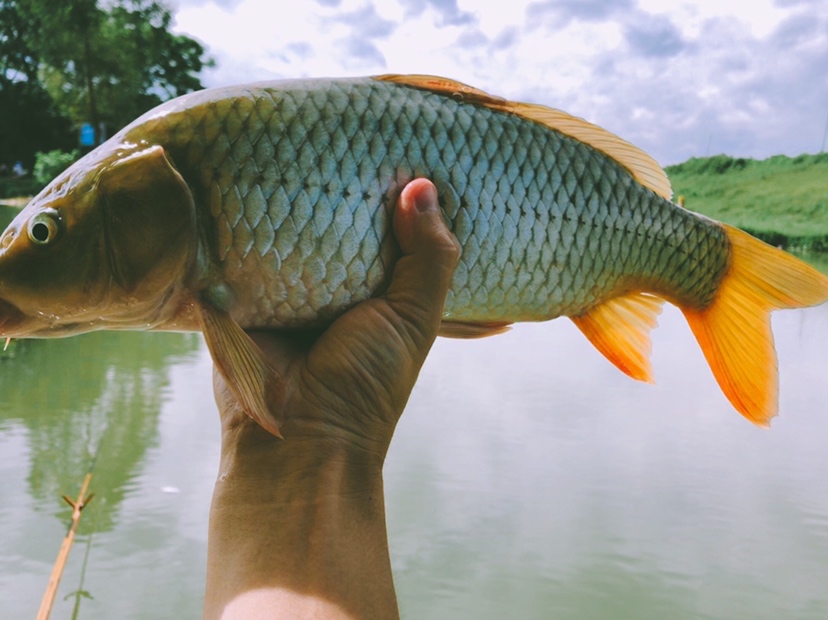 钓鱼装备全套小型鱼竿推荐,私人订制鱼竿路亚