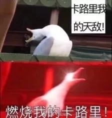 第四十集丨伙结！都这热的天了，你还不出去流点汗？