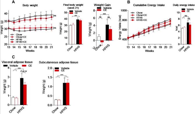 akk益生菌,益生菌akk瘦子菌推荐