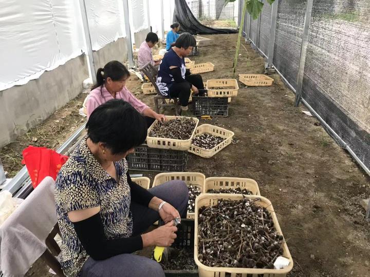 情暖扶贫路⑪丨“杭恩”引活水坪坝营解“渴”