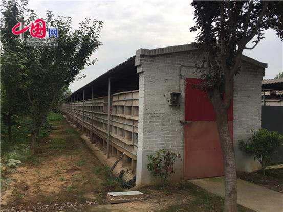 铜川兔业养殖,陕西省同富兔业铜川示范基地