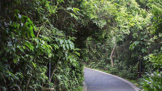 近七天游三亚,海南轻松游