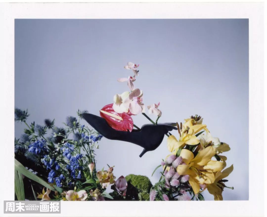 2021所有电视剧的cp,2022年剧集cp排行榜