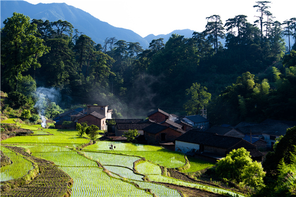 爱上古诗之夏日田园杂兴,跟读古诗四时田园杂兴