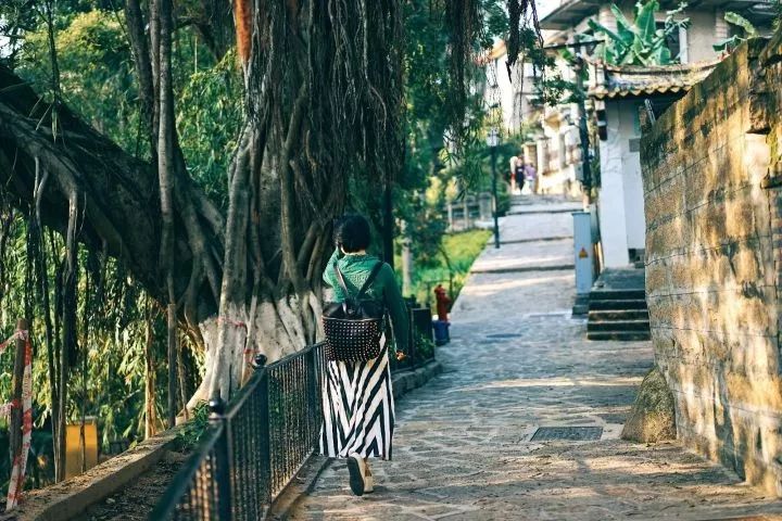 对厦门鼓浪屿景色的描写,鼓浪屿在厦门的哪个地方