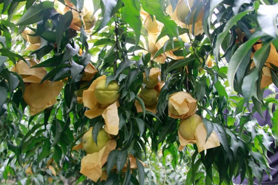 购购购！今天这里超热闹