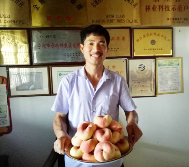 农技专家服务团助力乡村振兴,市科协助力乡村振兴提供科技智库