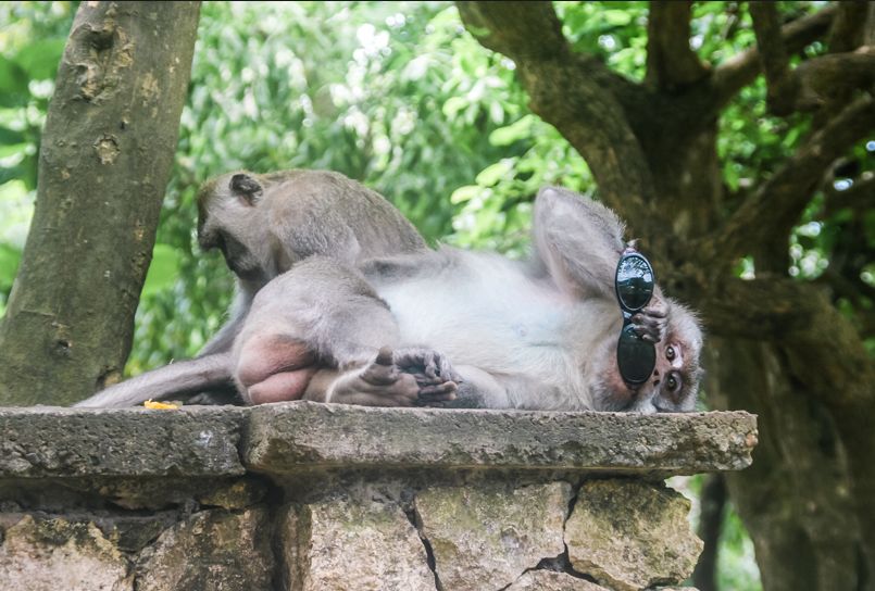 旅游团骗术大揭秘欧洲 (欧洲旅游坑局大揭秘)