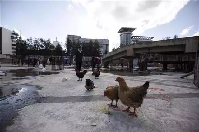 云南一国企副总受贿获刑,贵州酒店集团原董事长受贿案开庭