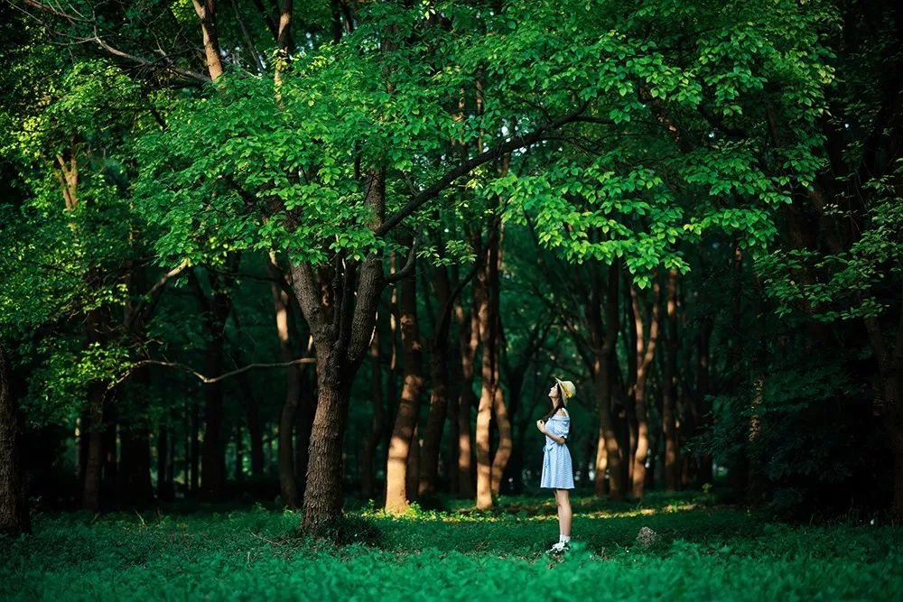 铂尔曼度假酒店长白山游玩攻略,长白山铂尔曼度假酒店暑假