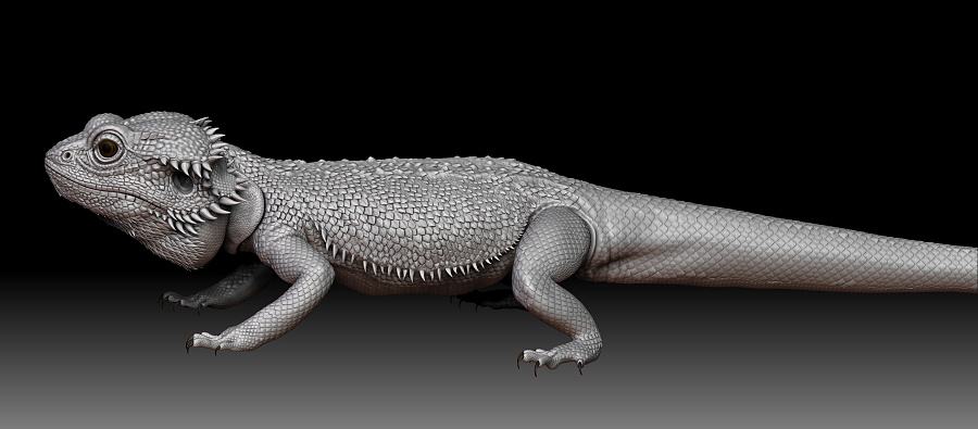 在十二生肖中人类的祖先是指什么,十二生肖的前身都是什么