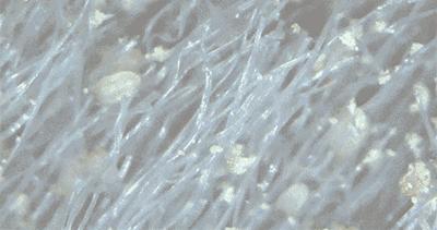 日本人都用这款除螨仪,日本老牌除螨仪