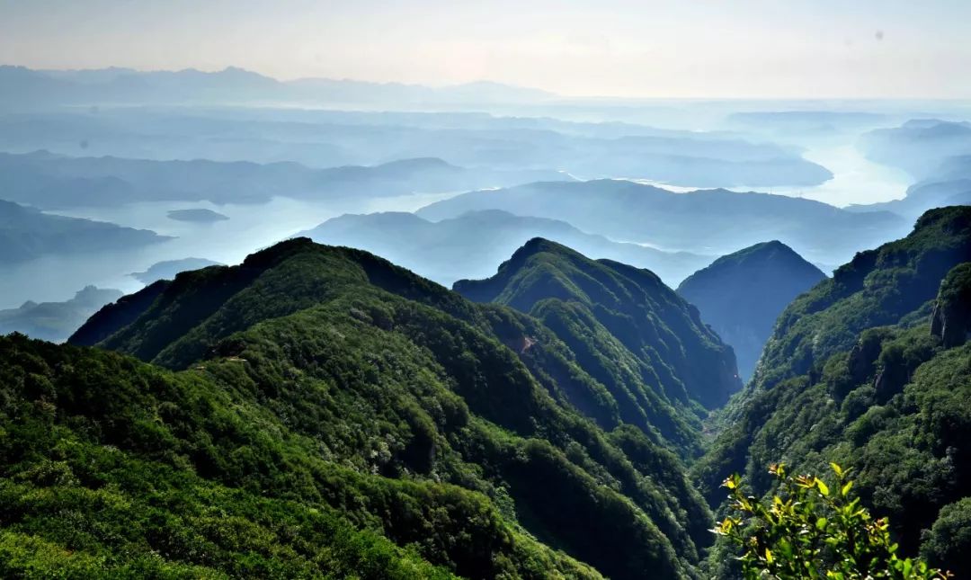 2022洛阳免费景区,一月洛阳景区免门票怎么操作
