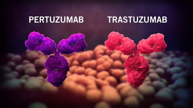 her2乳腺癌最新治疗新药,her2阳性乳腺癌靶向治疗研究进展
