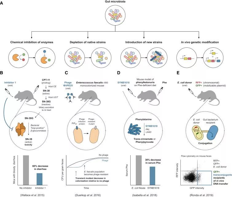 cell子刊biology,cell子刊文章