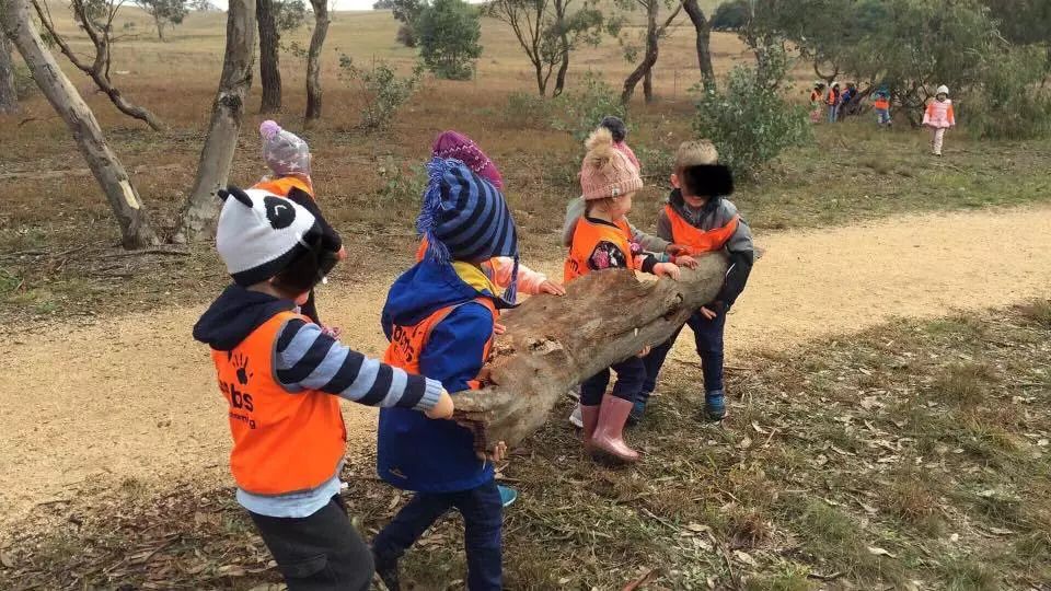 中国式育儿和美国式育儿的区别,中国和西方育儿区别是什么