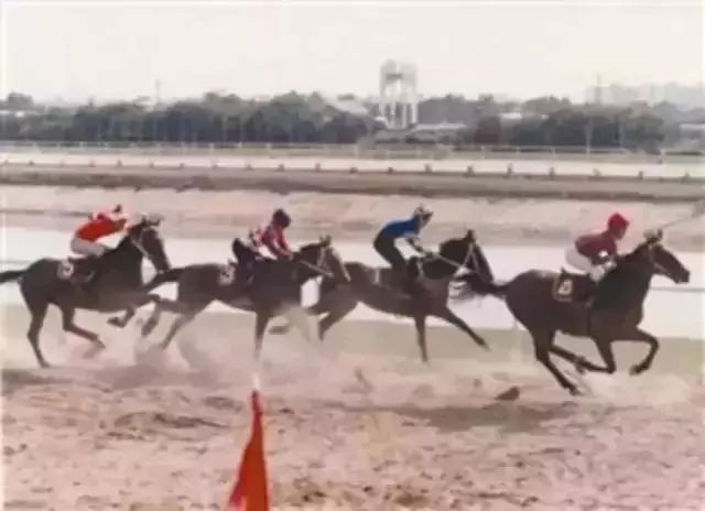 福田七夕好地方,深圳哪里过七夕最浪漫